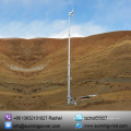 Китайский 5000ВТ 48В горизонтальный генератор энергии ветра для домашнего использования